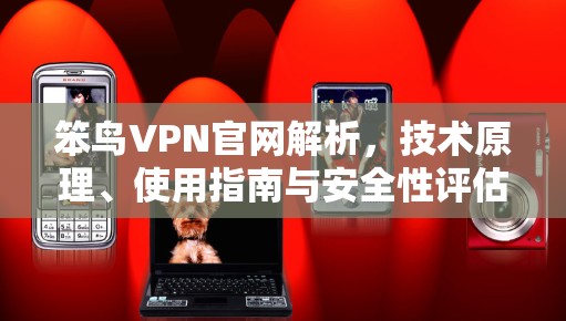 笨鸟VPN官网解析，技术原理、使用指南与安全性评估