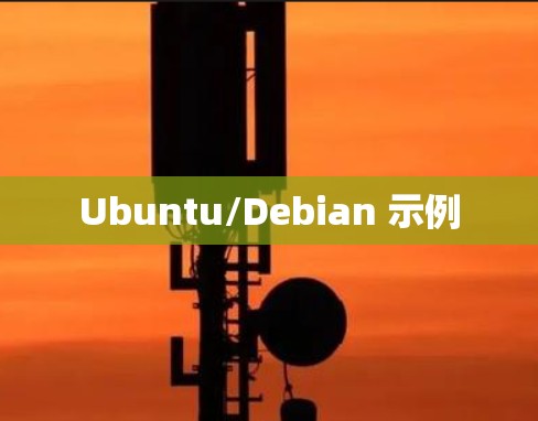 Ubuntu/Debian 示例 Ubuntu/Debian 示例