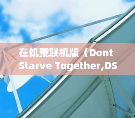 在饥荒联机版（Dont Starve Together,DST）中使用VPN可能会涉及以下几种情况，以下是相关解释和建议